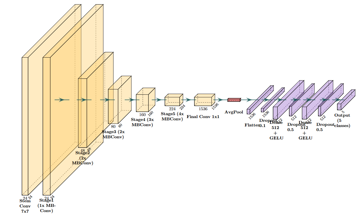 Overview of the proposed EfficientNext architecture.